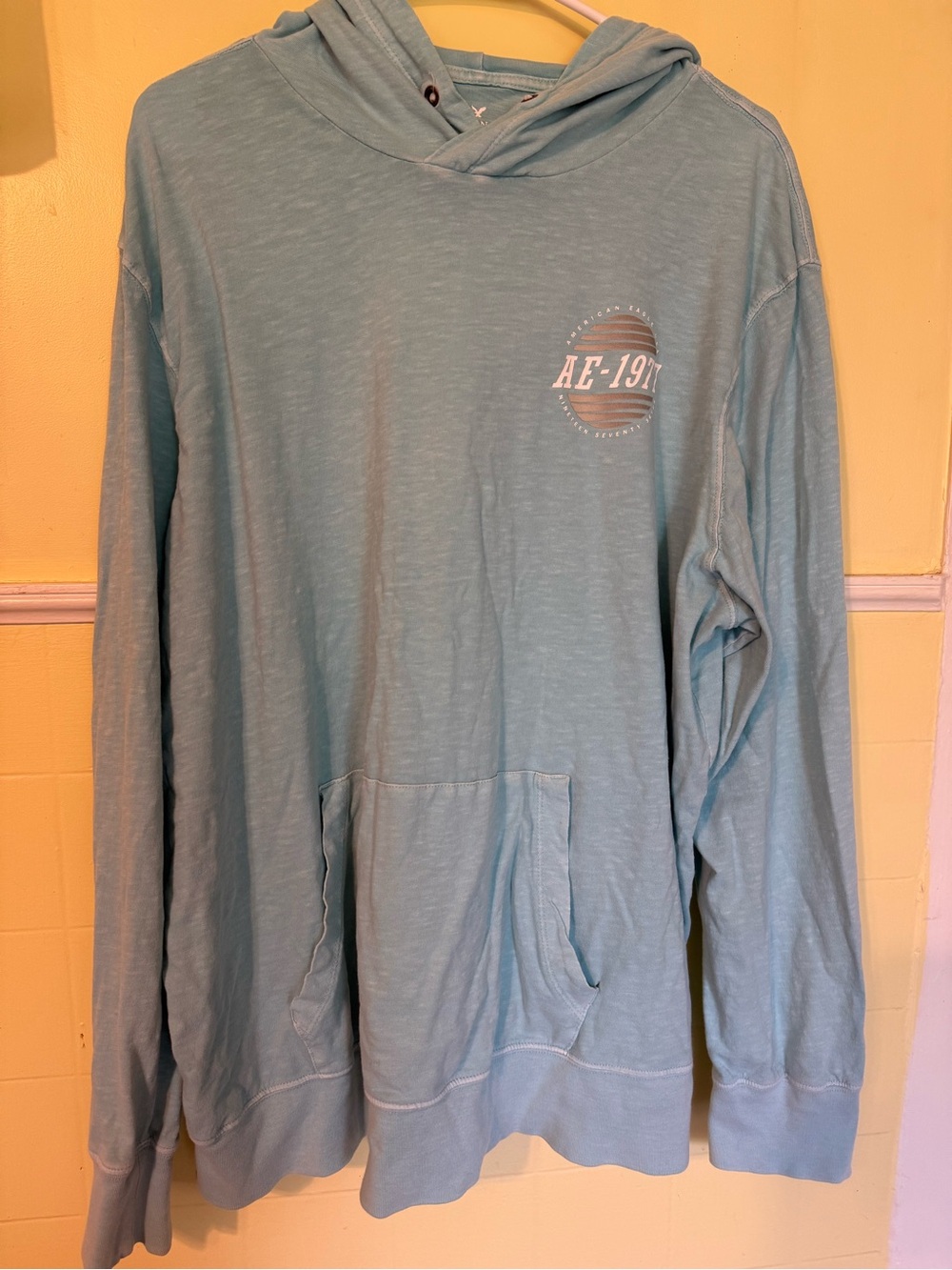 American Eagle Outfitters Light Blue Hooded Long Sleeve Tee